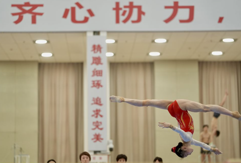 与众不同的彩票娱乐平台之旅